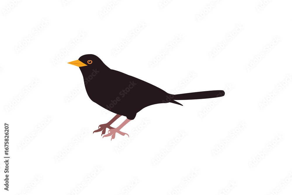 Fototapeta premium Cute blackbird bird. Vector illustration