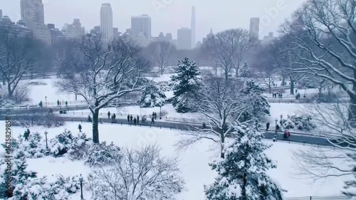 Snowfall in Central Park, New York City