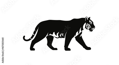 Silhouette of a majestic black tiger walking with white stripes.