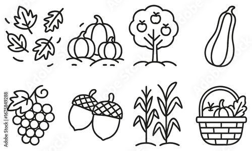 Autumn harvest linear icon set. featuring leaves, pumpkins, apple tree, squash, grapes, acorns, corn, basket