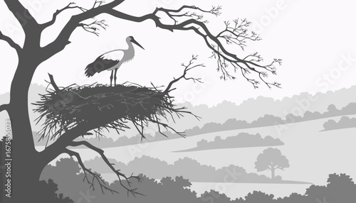 A white stork in its large nest on a foggy morning.