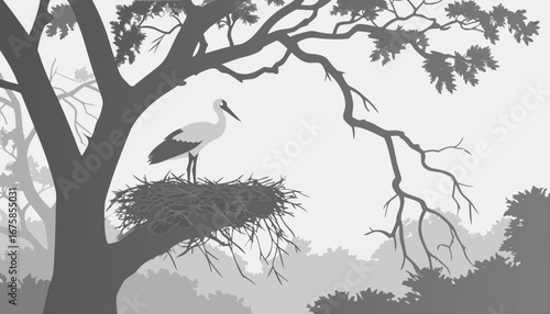 A white stork in its large nest on a foggy morning.