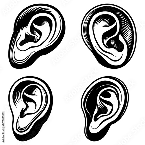 Four monochrome ear illustrations in varying perspectives and artistic styles displayed on a white background