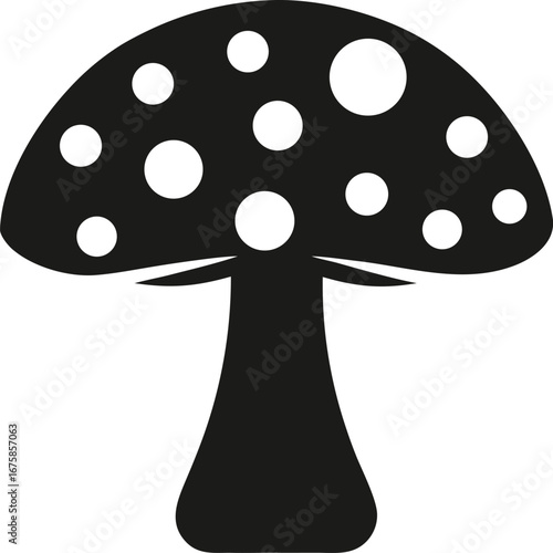 An Amanita Muscaria Mushroom Classic Toadstool