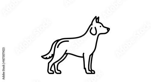 Outline Drawing of a Standing Dog Breed.