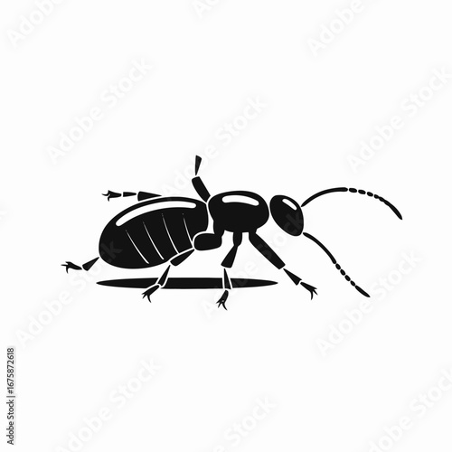 Detailed close up depicting a common ant insect in black silhouette