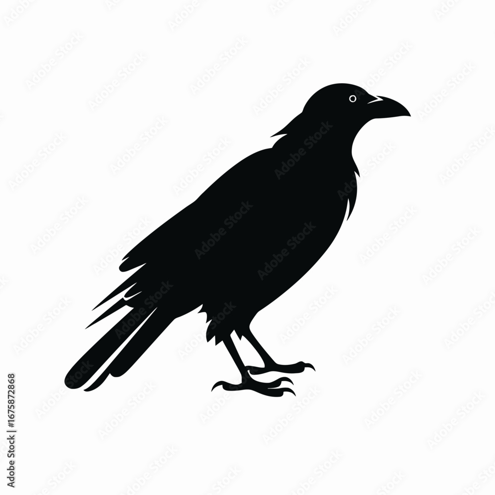 Fototapeta premium Majestic raven with striking feathers standing proudly in graphic black silhouette