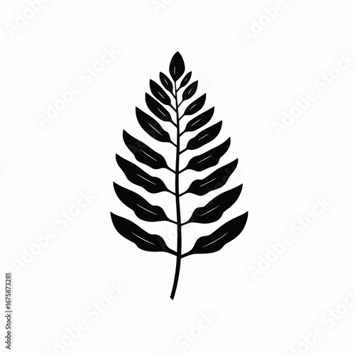 Bold botanical illustration of a fern frond in black silhouette