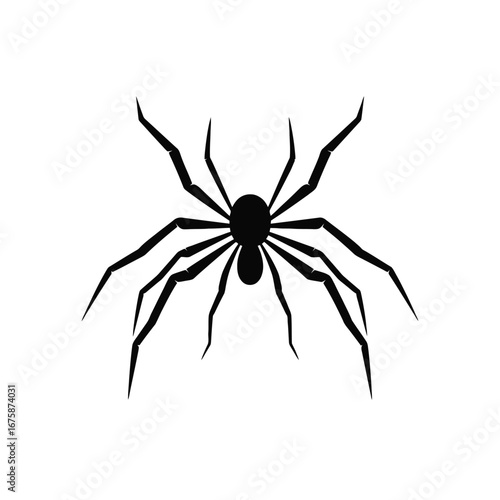 Creepy crawly spider with its long legs, a black silhouette