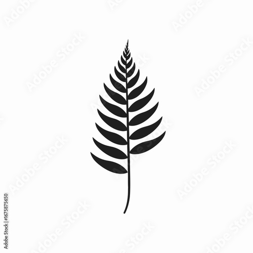 Elegant minimalist fern leaf illustration on white background, a graphic silhouette