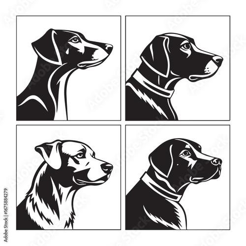 Four dog breeds illustration isolated on white background in black and white