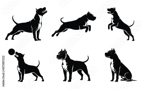 Six silhouettes of american staffordshire terriers in various poses vector