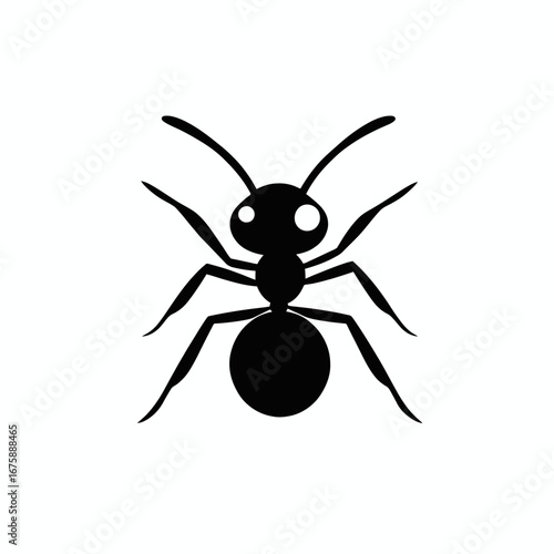 Striking black insect vector illustration on the clean white background silhouette