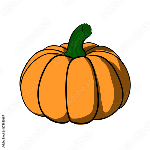 pumpkin isolated on white background