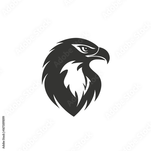 Striking eagle head illustration showcasing strong and bold bird of prey silhouette