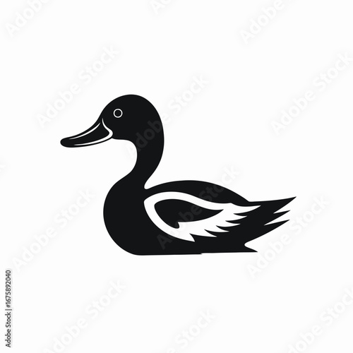Elegant black and white water bird swimming peacefully in simple silhouette