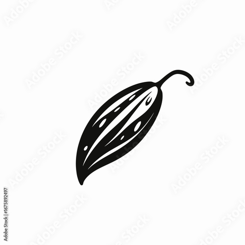 Detailed single cacao fruit pod botanical black and white silhouette