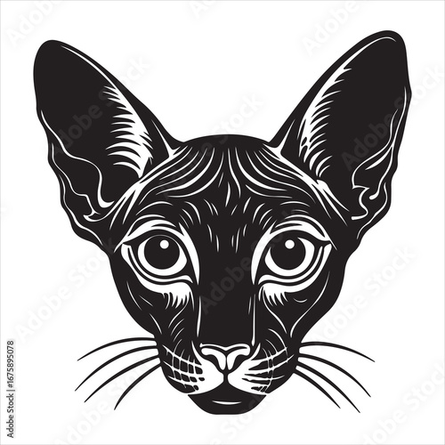A Sleek Portrait of an Oriental Shorthair Cat, a Svelte and Vocal Breed with a Distinctive Angular Face, Large Ears, and a Short, Glossy Coat