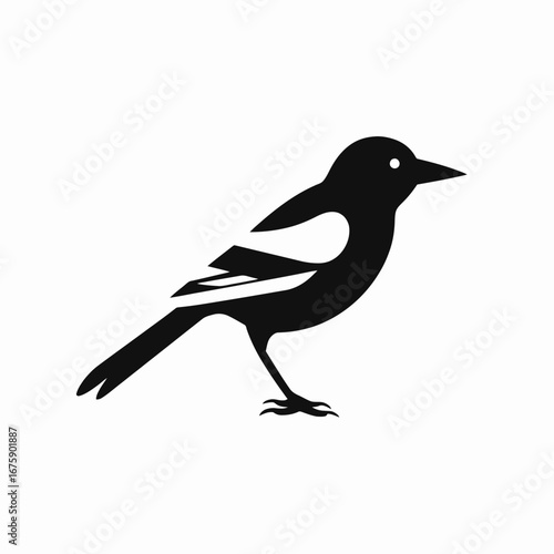 Graphic depiction of a magpie, a striking avian species, silhouette