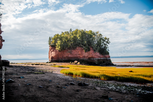 Burntcoat Nova Scotia