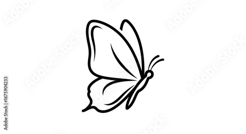 Elegant Line Art Drawing of a Butterfly.