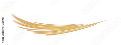 Elegant gold swirl. Shimmering golden curl perfect for festive designs. Luxurious gold ribbon-like curve. Twirls, lines, curves, ropes, and stripe decorations