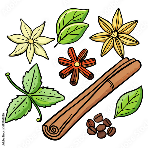 Aromatic brown star anise and cinnamon sticks are classic spices for Christmas and holiday food and drinks