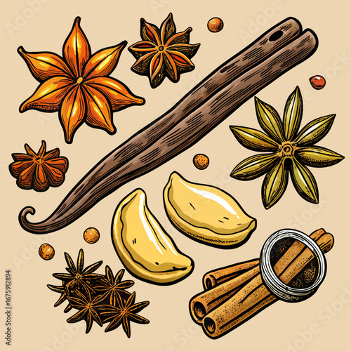 A beautiful collection of aromatic spices, including cinnamon sticks, star anise, and dried orange, perfect for holiday cooking and decoration