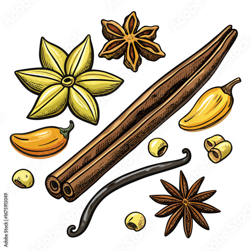 Spices and herbs including aromatic star anise and cinnamon, isolated on a brown background