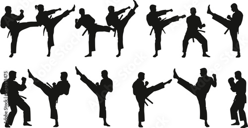 Silhouettes of Martial Arts Poses, Karate Kicks, Training Stances, Combat Skills, Martial Arts Action, Karate Movements, Karate Fighter, Fitness Concept