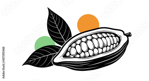 Exploring the rich history and diverse applications of cacao beans and their journey from pod to chocolate delight
