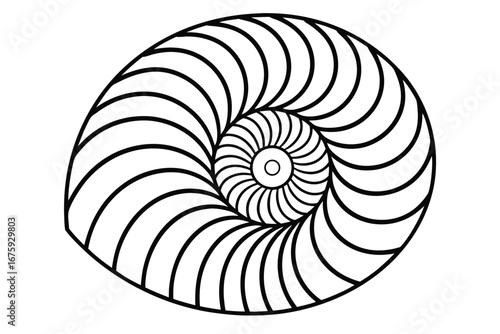 Black and white spiral pattern resembling a nautilus shell or Fibonacci sequence geometry