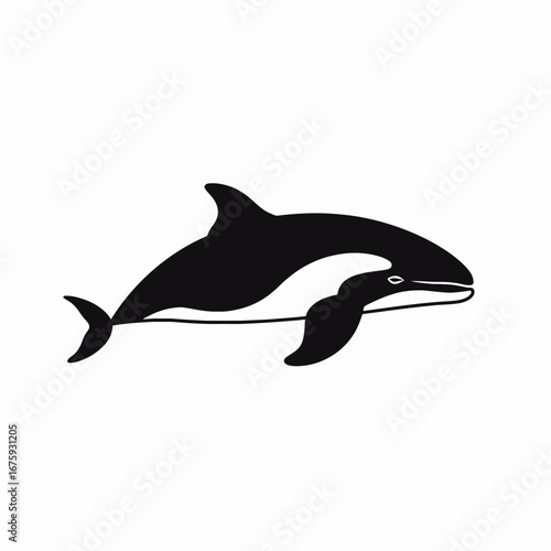 Striking black and white orca whale aquatic animal design silhouette