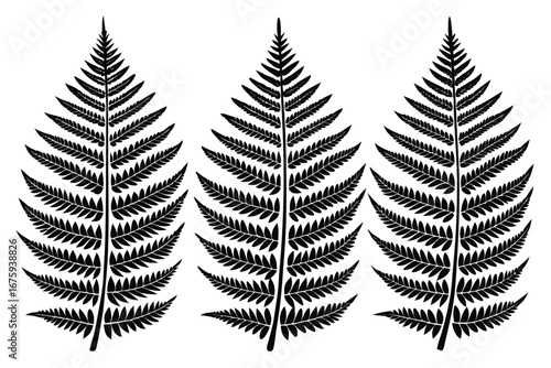 Three Black Silhouette Fern Leaves on White Background foliage plant