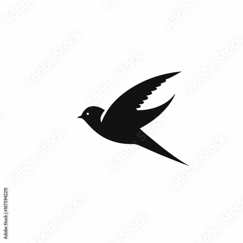 Dynamic swift bird soars against white backdrop as a striking silhouette