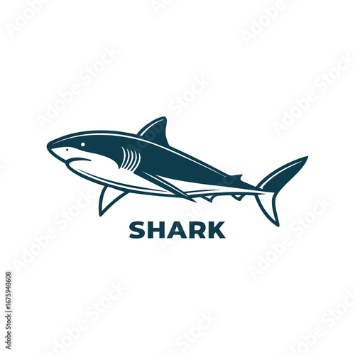 Aggressive shark mascot logo

