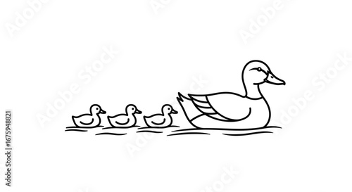 Simple Line Art of Mother Duck and Ducklings Swimming.