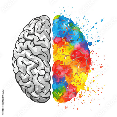 Monochrome Geometric Left Brain Half and Vibrant Colorful Right Brain Half Isolated Hand Drawn Watercolor Painting Illustration