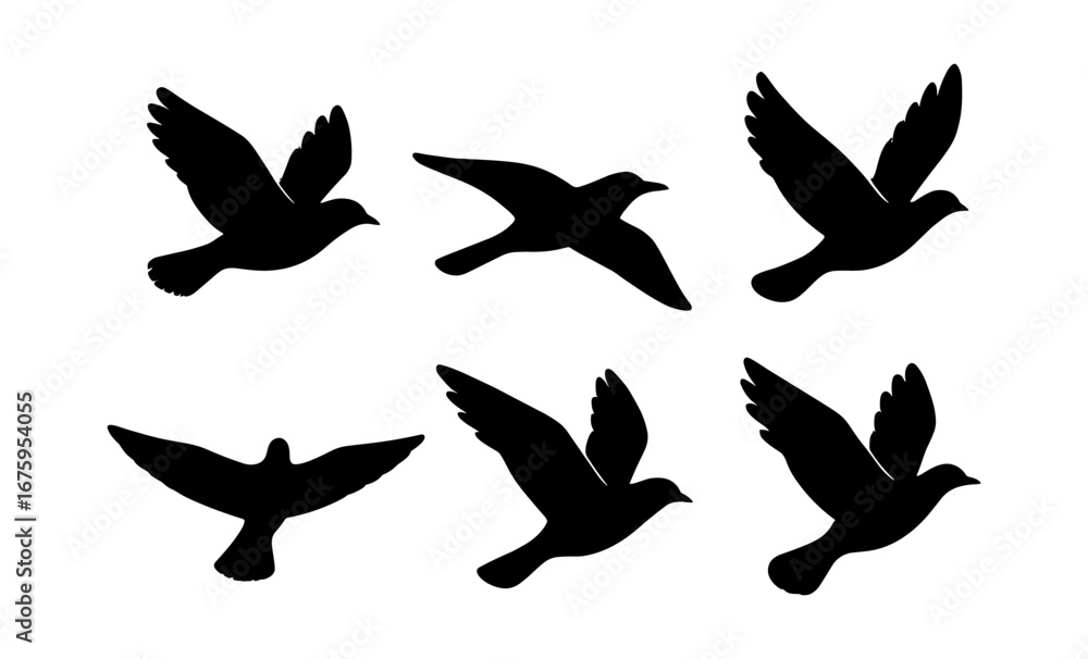 Fototapeta premium Silhouette set of flying birds on white background
