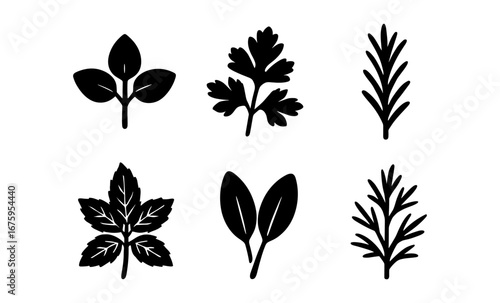 Collection of black silhouette herb icons: basil, parsley, rosemary, mint, sage, thyme