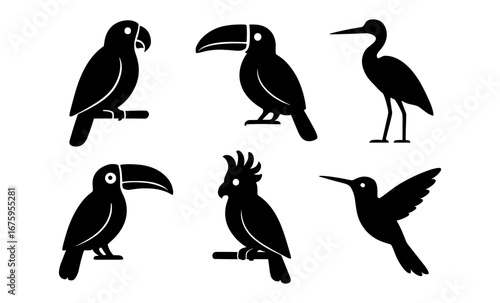 Silhouette wildlife collection of birds: parrot, toucan, heron, cockatoo, hummingbird