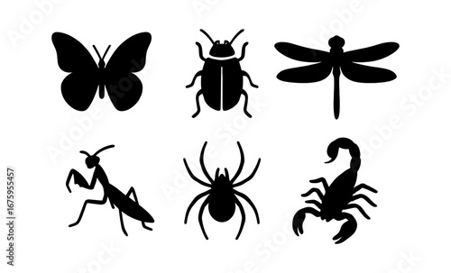 Silhouette collection of insects and arachnids: butterfly, beetle, dragonfly, and more