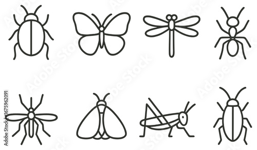 Insect linear icon set. featuring beetle, butterfly, dragonfly, ant, fly, moth, grasshopper, cockroach