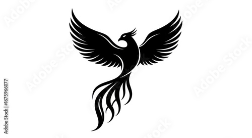 Black Phoenix Rising with Spread Wings and Elegant Tail Feathers.