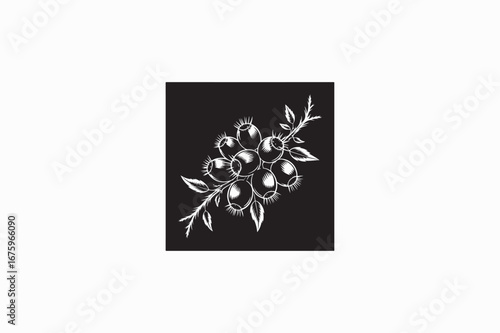 A blackthorn health benefits fruit vector silhouettes black image made by adobe illustrator. eps