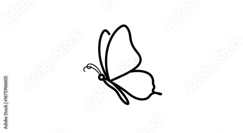 Elegant single continuous line drawing of a butterfly in flight, a minimalist black outline sketch.