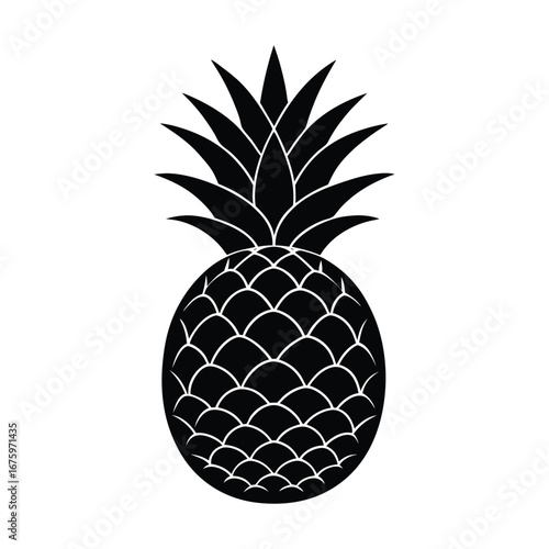 pineapple vector illustration
