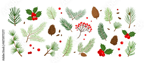 Christmas tree, fir, pine cone, holly berry, leaf branch, mistletoe, winter plant icon, Xmas nature set isolated on white background. Holiday vector illustration