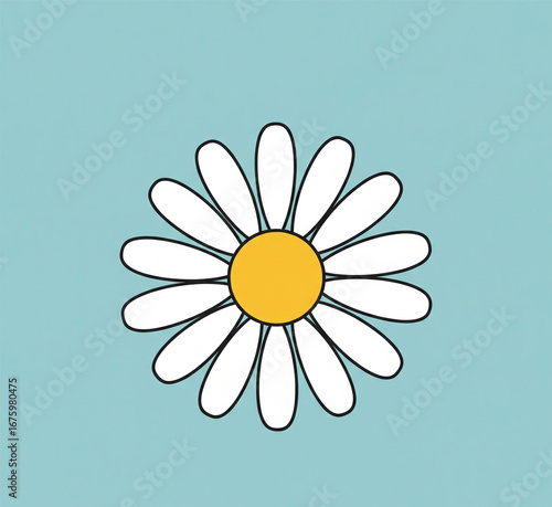daisy flower on blue background