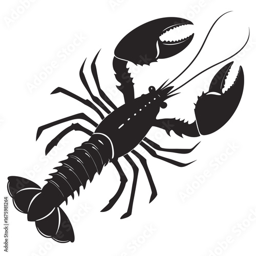 lobster vector illustration